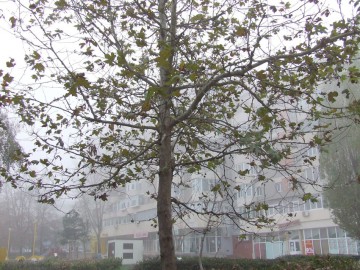 Temperaturi de până la 13 grade, în Dobrogea